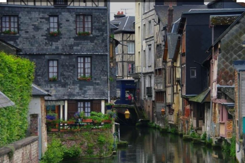 Chic Et Normand, Parking Facile, Wifi Hd Lägenhet Pont-Audemer Exteriör bild